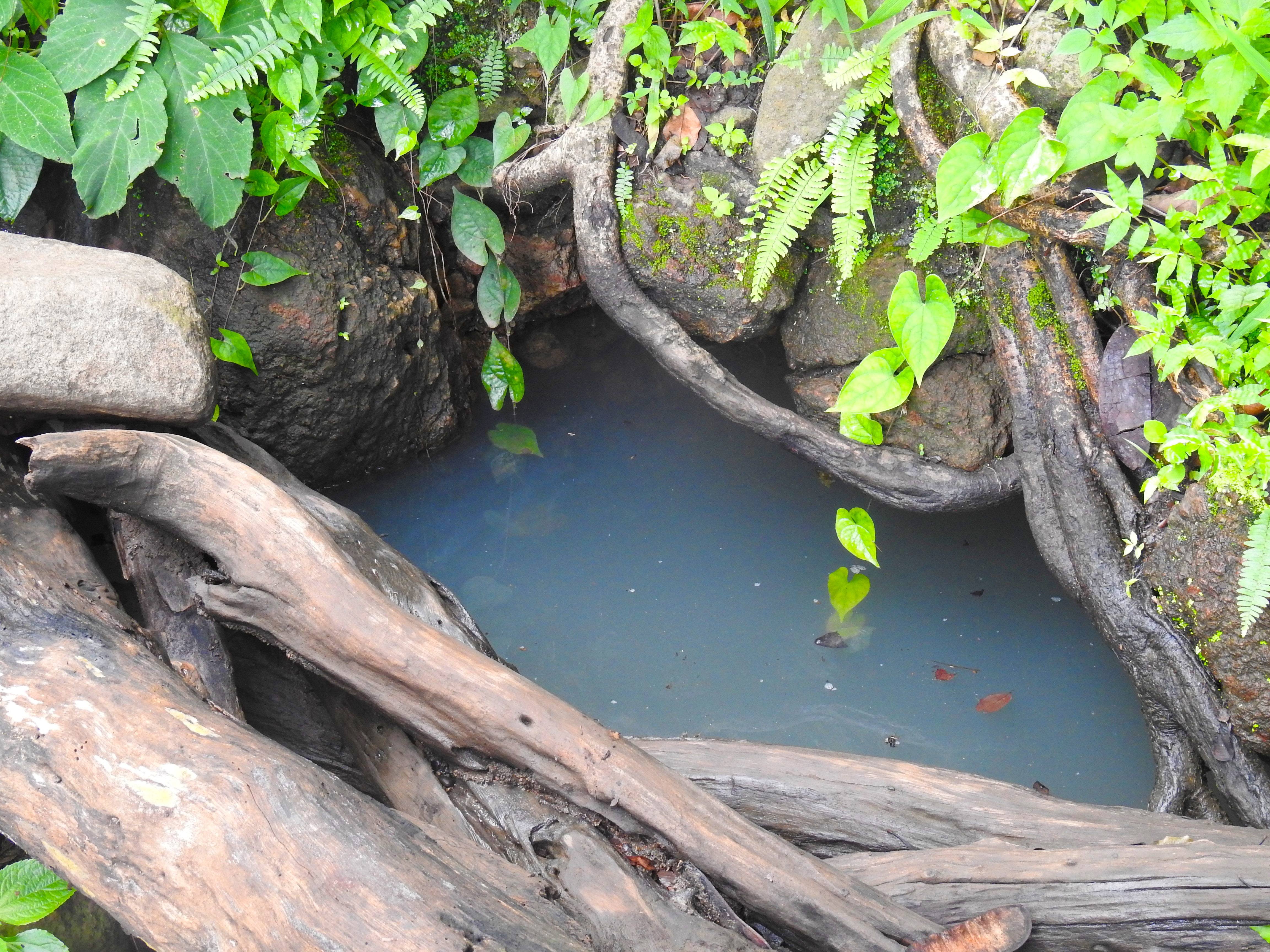Verschmutzte Wasserquelle
